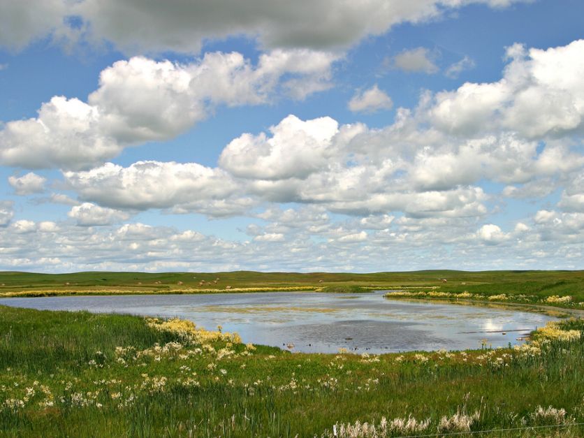 Missouri wetland