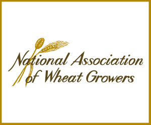 NAWG Cover Crop logo