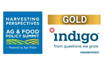 Indigo Sponsor Video