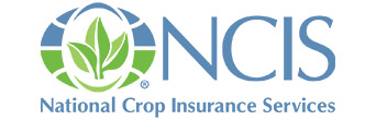 NCIS Logo
