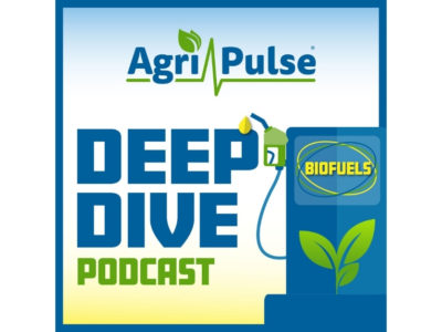 Deep Dive Podcast logo