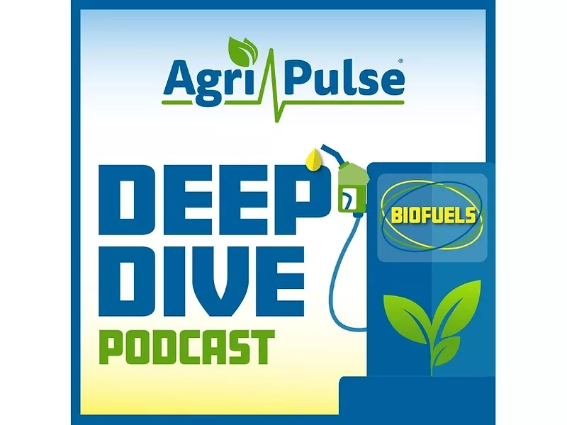 Deep_Dive_835x627.jpg