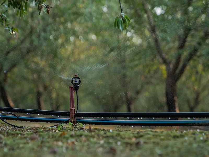 Almond_micro_irrigation_836x627.jpg