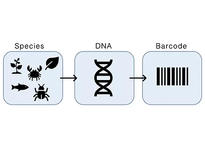 DNA Barcoding
