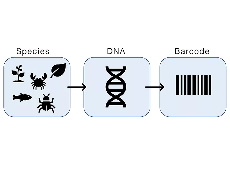 DNA Barcoding