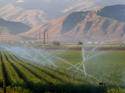 irrigated-fields-san-joaquin-valley-DWR-836x627compressed.jpg