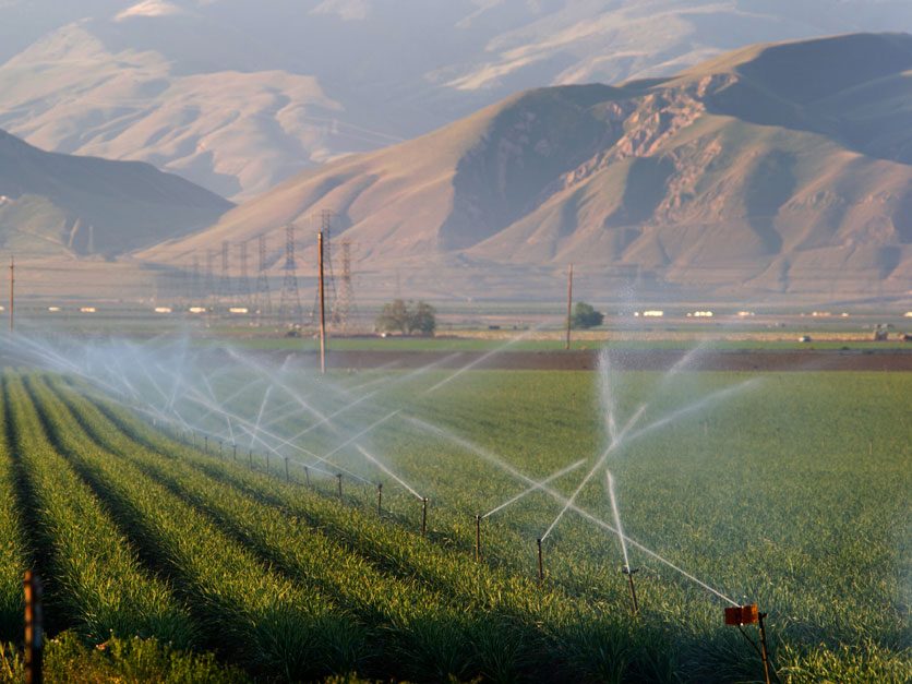 Imperial Irrigation District Signs Off On Salton Sea Agreement Agri 