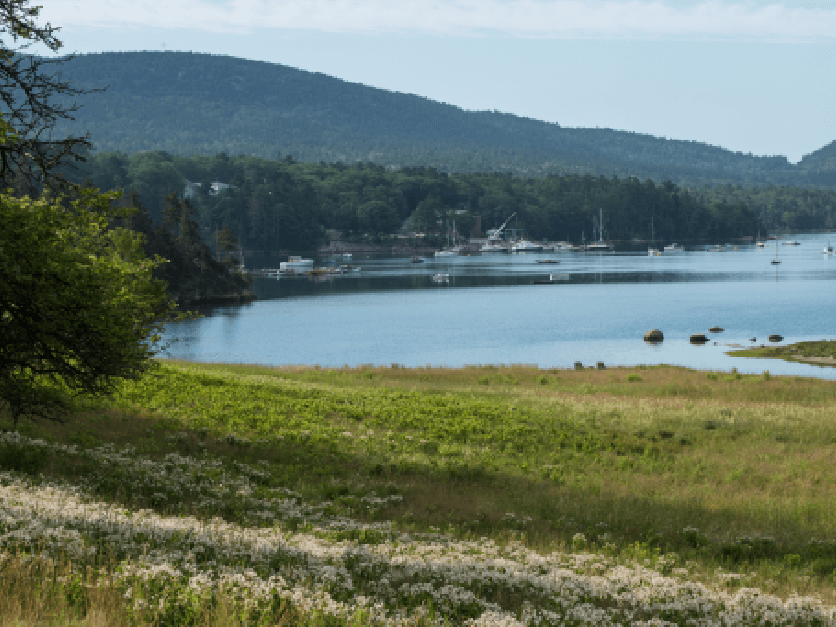 Maine_Landscape.png