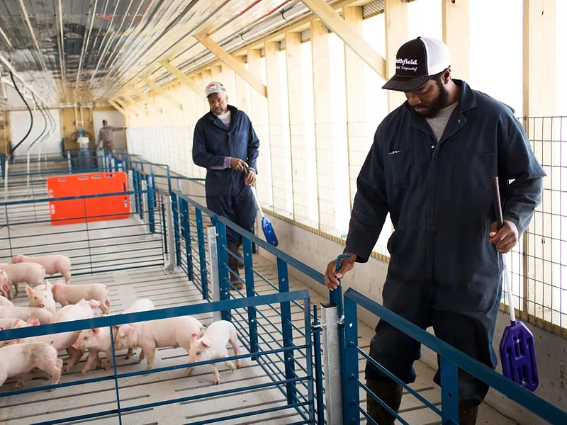 Smithfield_minority_contract_grower_program_