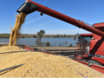 Unloading_Soybeans_Combine_1.png