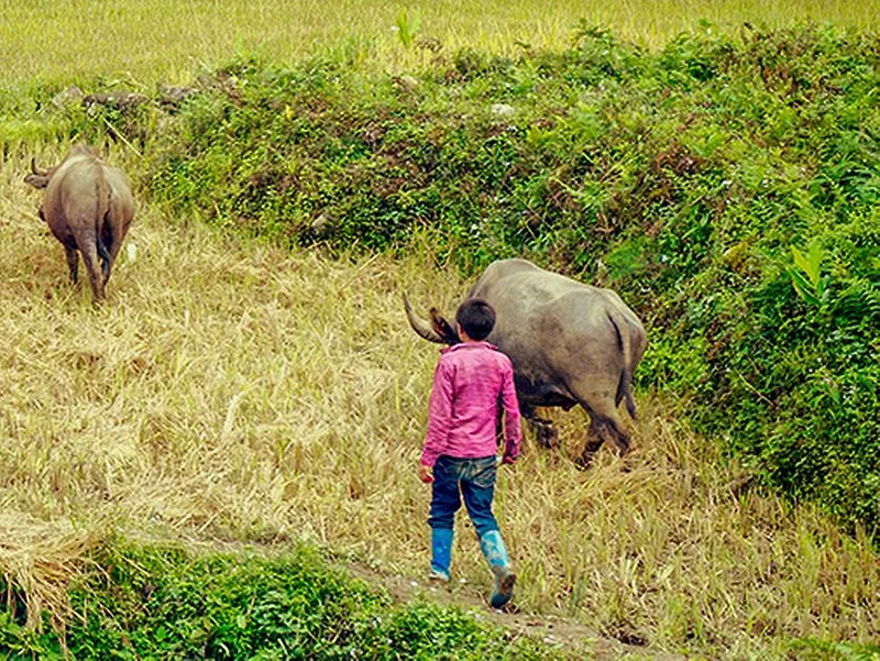 smallholder-undp.jpg