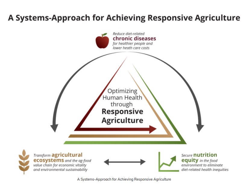 Responsive Agriculture.jpg