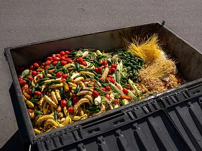 Denali grocery collection.jpg