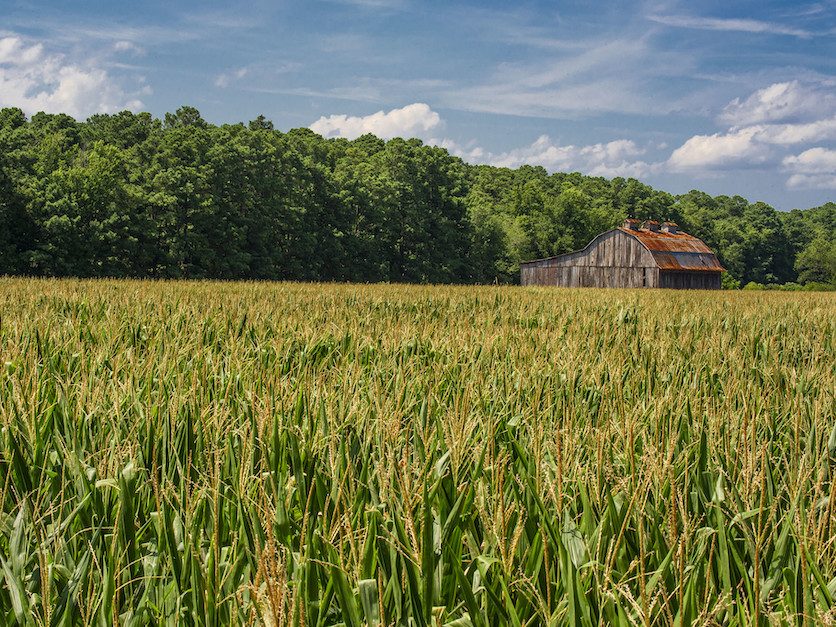 Daybreak July 13: Farm groups fly in to DC
