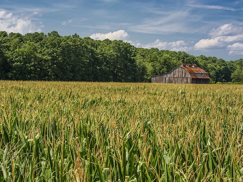 Farmland__corn_barn_farmstead_land.jpg