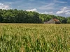 Farmland  corn barn farmstead land