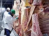 Meat processing processor beef