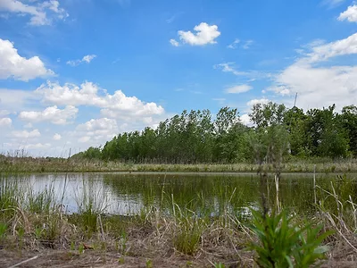 Wetland_1.jpg
