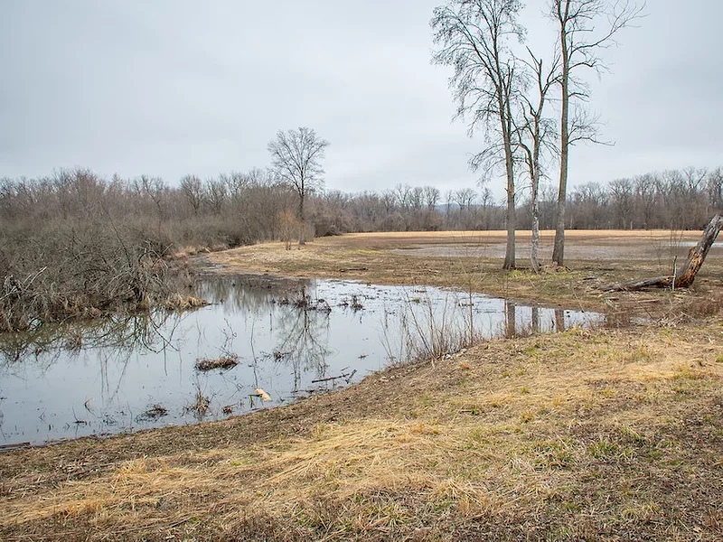 Wetland_reserve_program_easement_conservation.jpg