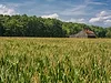 Farmland  corn barn farmstead land