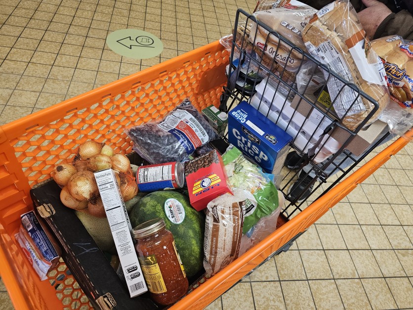 Grocery cart - food bank - Jacqui Fatka.jpg