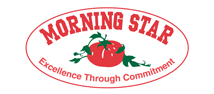 Bronze-Morning-Star.jpg