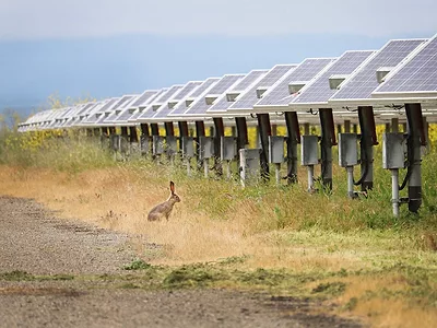 Jackrabbit-solar.jpeg