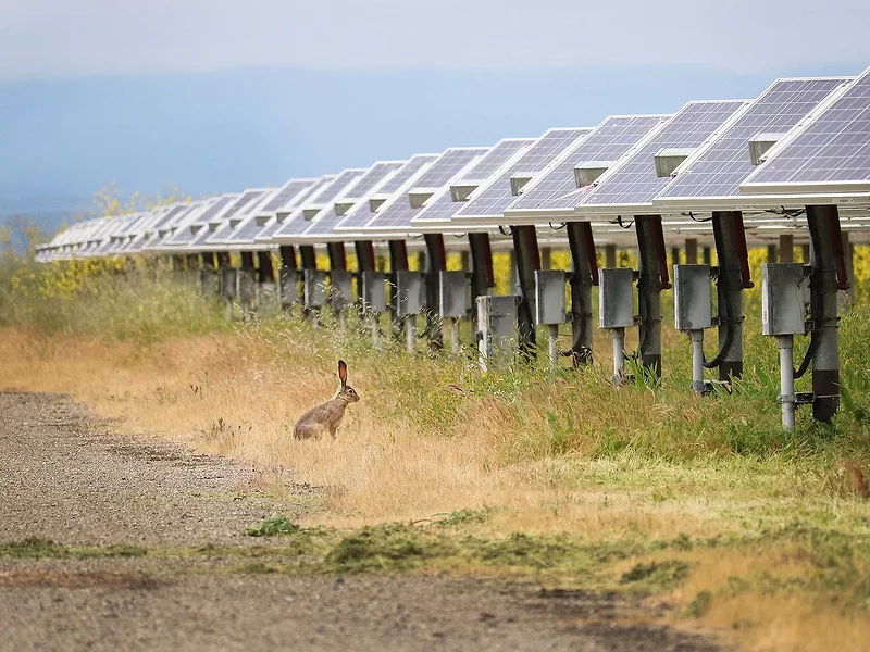 Jackrabbit-solar.jpeg
