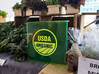 USDA_Organic.jpg