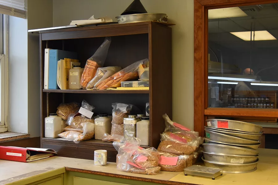 Grain_inspection_demonstration_equipment.JPG