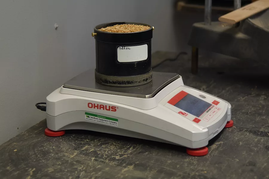 Wheat_on_scale_grain_inspection.JPG