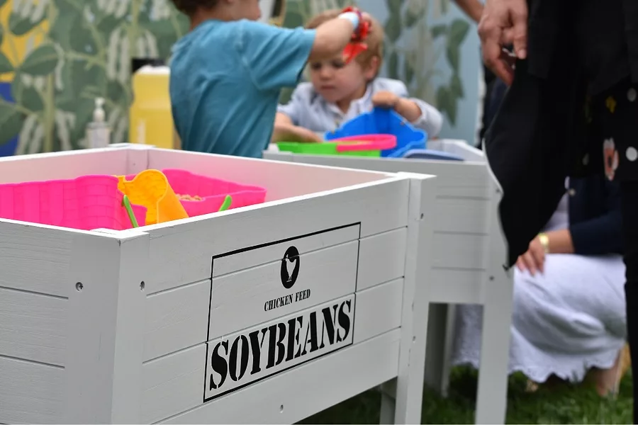 Soybeans on display in the Hen to Home exhibit.jpg