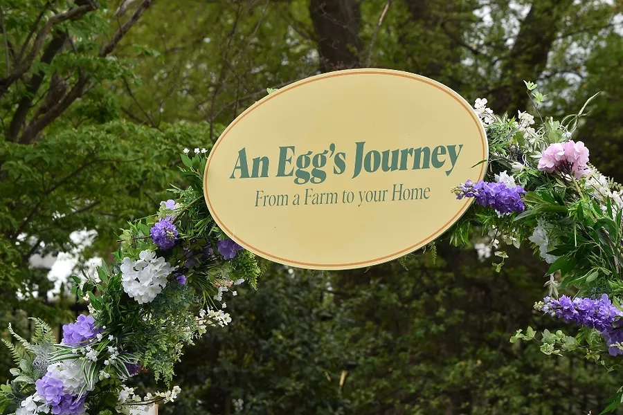 The Hen to Home display takes visitors through the process from chicken feed to a carton of eggs on the grocery store shelf.jpg