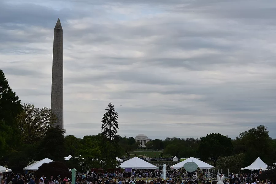 View of the South Lawn.jpg