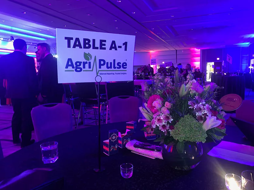 AG-BALL-27.jpg