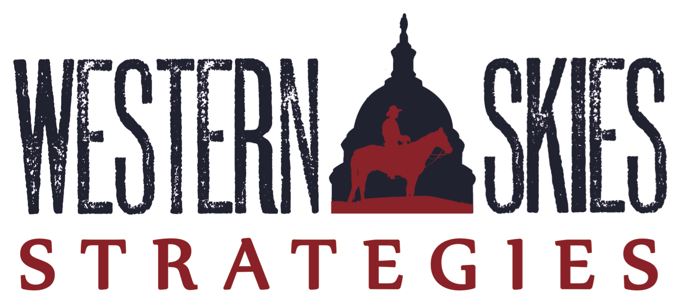 WSS logo.png