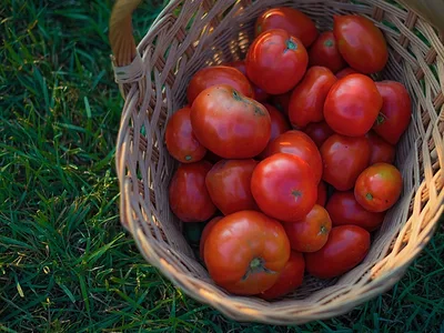 Jason Grimm farm USDA.jpeg