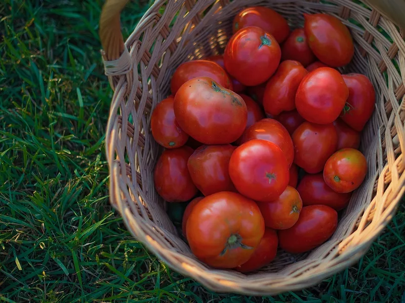 Jason Grimm farm USDA.jpeg