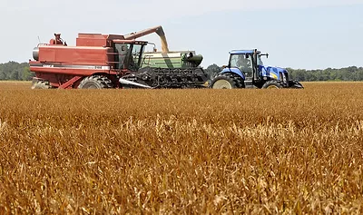 rice_harvest.jpg