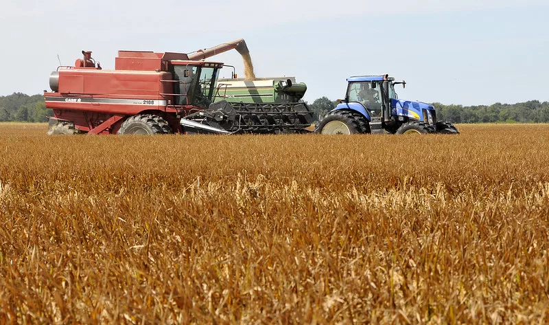 rice_harvest.jpg