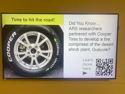 ARS-tires.jpg