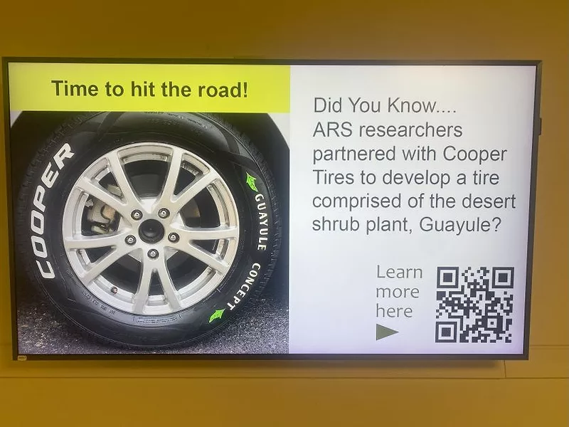 ARS-tires.jpg