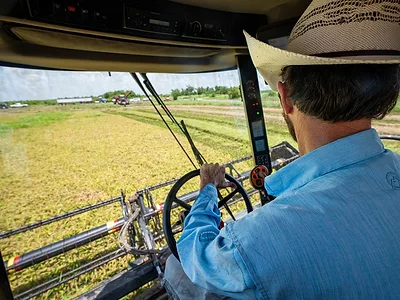 A farmer harvests rice in combine (USDA photo).jpg