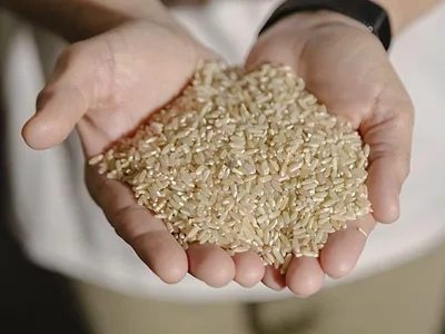 agri-capture-rice.jpg
