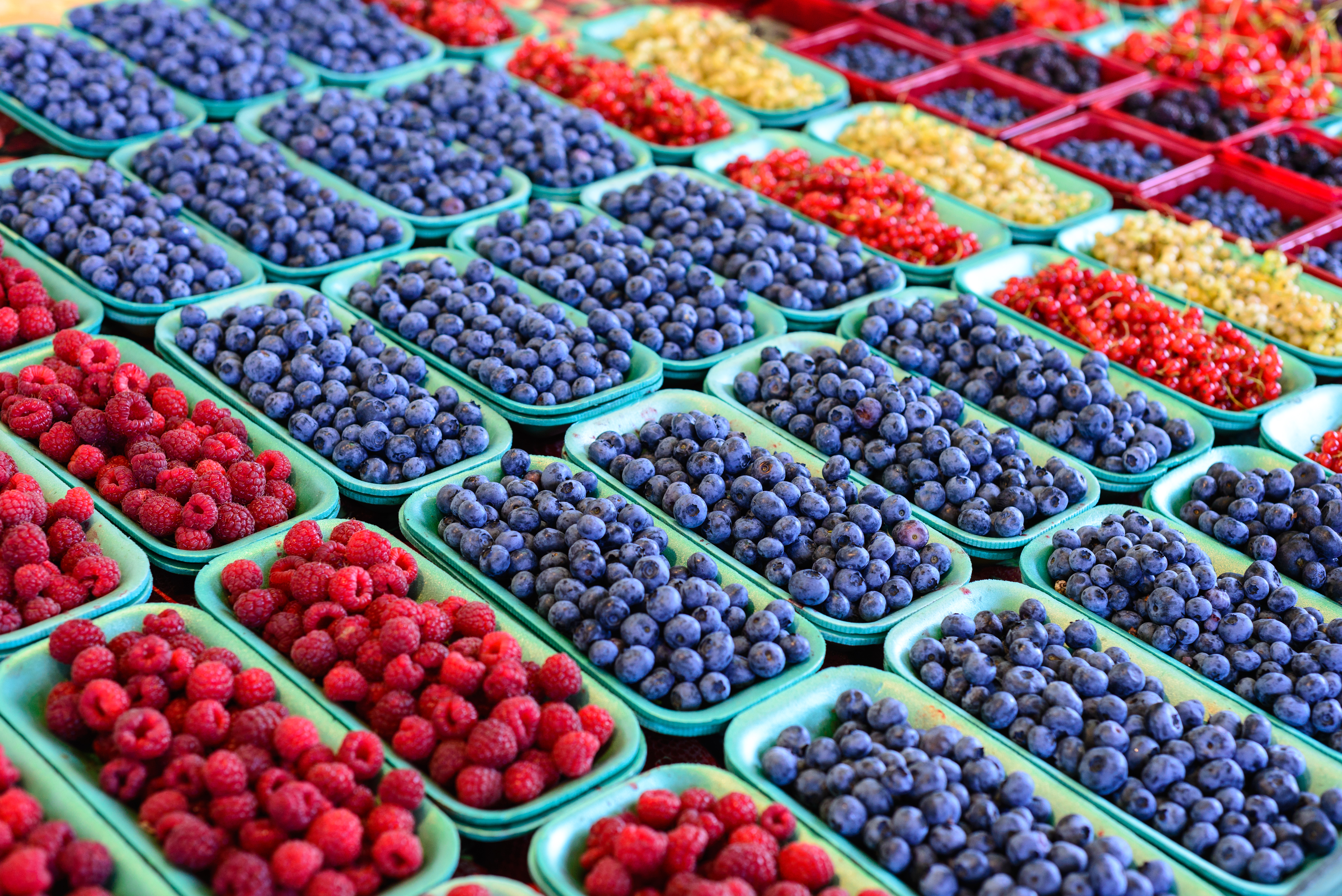 canada_fruit.jpg