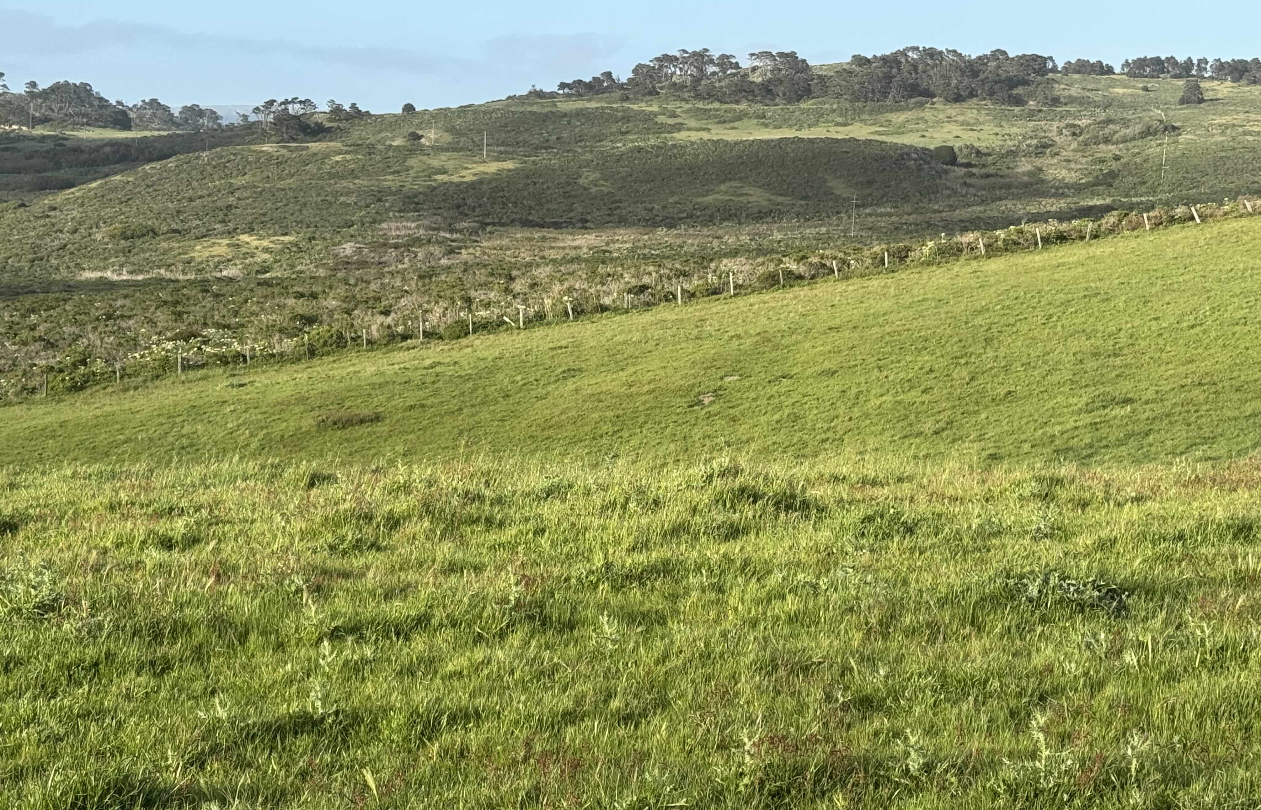 ElkFence.jpg