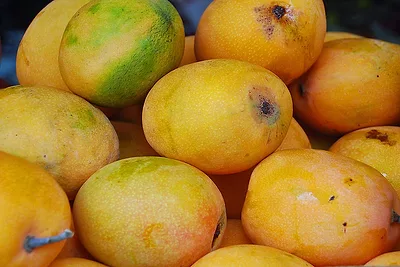 mangoes.jpg