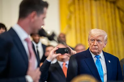 trump_cotton.jpg