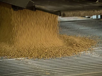 Soybeans-USDA-shipment.jpg