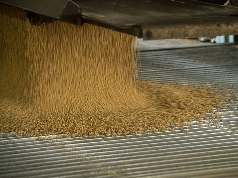 Soybeans-USDA-shipment.jpg